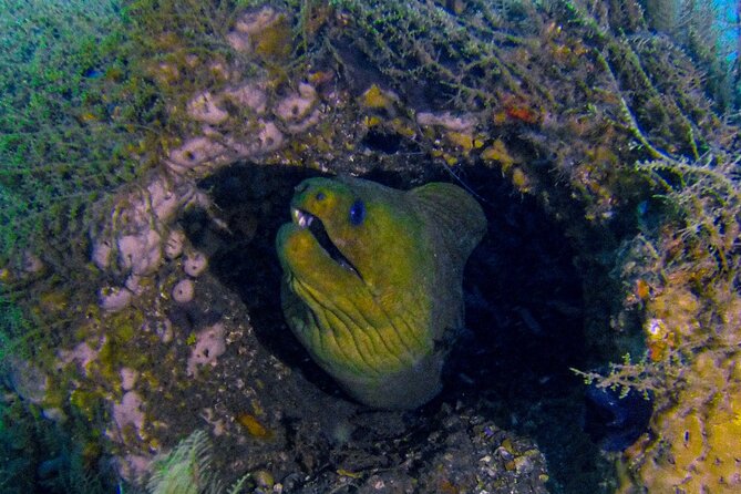 Miami Guided 2-Tank Scuba Diving: South Florida’s Reefs & Wrecks - Depth Profile Tips for Planning Your Comfort