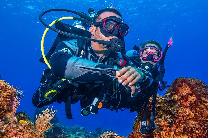 Miami Guided 2-Tank Scuba Diving: South Florida’s Reefs & Wrecks - Small Group, Attentive Guide: The Safety Factor You Feel