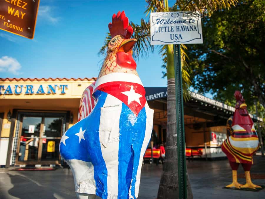 Miami: Guided City Tour and Boat Ride - Downtown skyline, Coconut Grove, and Coral Gables: why Miami isn’t one neighborhood