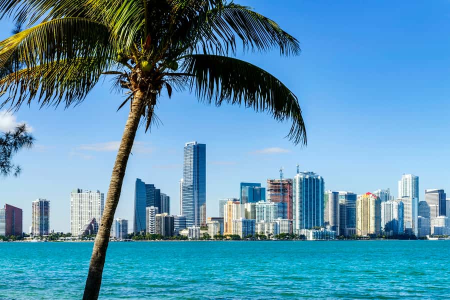 Miami: Guided City Tour and Boat Ride - South Beach Art Deco drive: fast intro to the Miami look