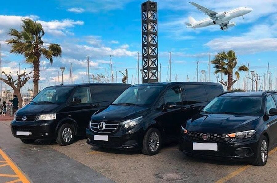 Miami: Guided Tour with Transfer from Cruise Port to Airport - Getting From Cruise Port to Airport Without the Headache