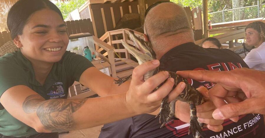 Miami: Half-Day Everglades Tour in French - Miami and Miami Beach Scenic Drive: Getting the Views Without Stress