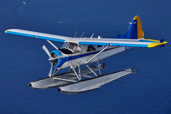 Miami Highlights Private Seaplane Tour with Live Commentary - Meeting at 555 NE 15th Street and Getting to the Seaplane