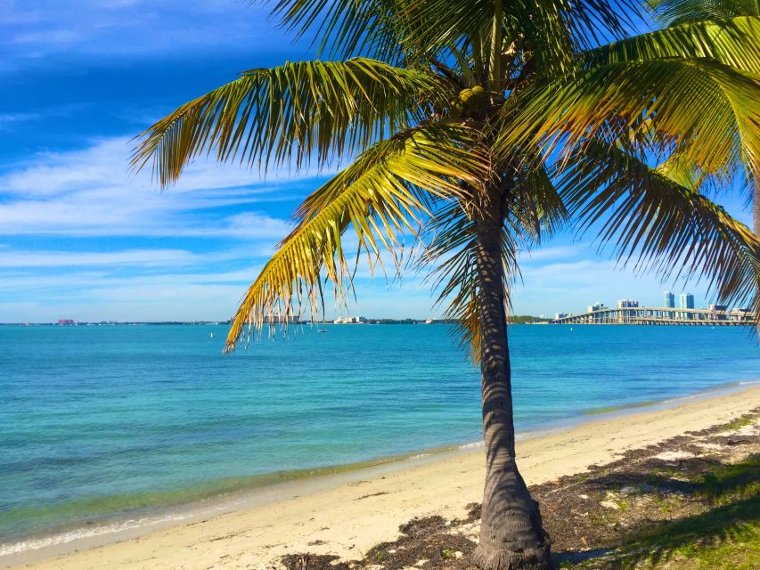 Miami: Hobie Cat Sailing - Key things to know before you go