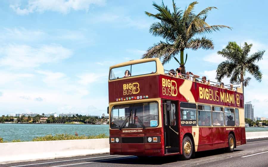 Miami: Hop-on Hop-off Open-top Bus Tour and Optional Cruise - Why This 48-Hour Hop-On Hop-Off Pass Actually Fits Miami