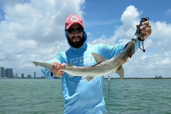 Miami Inshore Fishing Charters on Biscayne Bay - Port of Miami, the Arena, Bayfront Park, and Star Island Stops