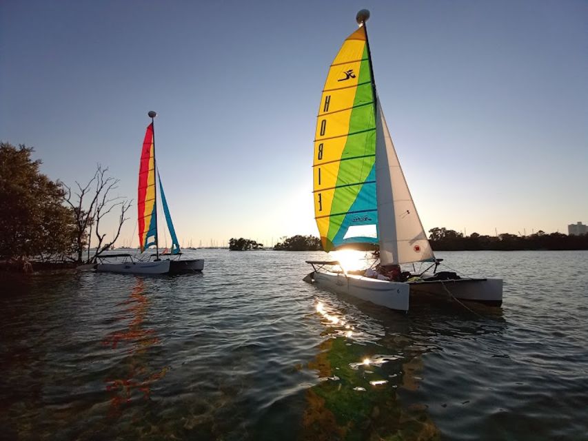 Miami: Intimate Sailing in Biscayne Bay w/ Food and Drinks - Wildlife spotting: what you can realistically look for