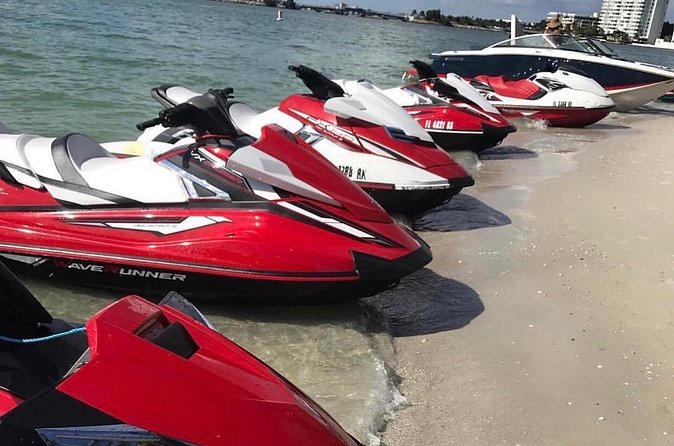 Miami Jet Ski Rental: chase the Ocean, ride the Waves - Dolphins in Miami: Why Morning Timing Is Your Best Bet