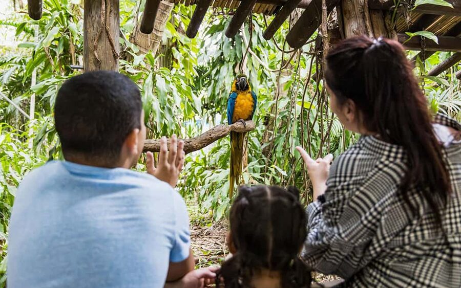 Miami: Jungle Island General Admission - Jungle Island in one glance: animals, gardens, and treetops
