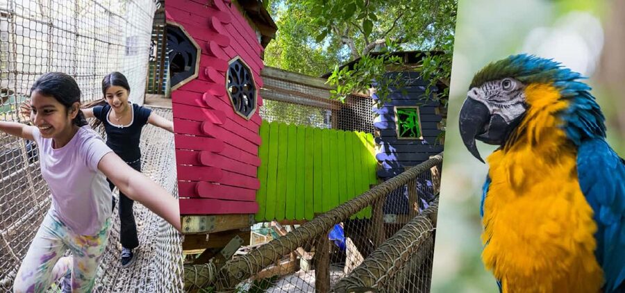 Miami: Jungle Island General Admission - Treewalk Village: the best reason to come