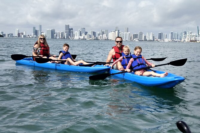 Miami Kayak and Paddleboard Rentals in Virginia Key - Kayak or Paddleboard: Which One Fits Your Comfort Level?