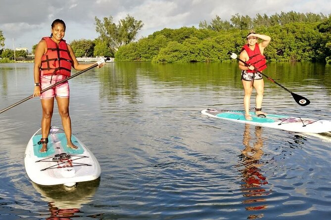 Miami Kayak and Paddleboard Rentals in Virginia Key - Wildlife on the Edge of the Dock: Manatees, Birds, and Fish