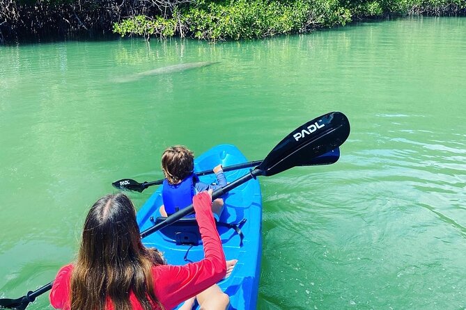 Miami Kayak and Paddleboard Rentals in Virginia Key - Practical Tips to Get the Best Experience
