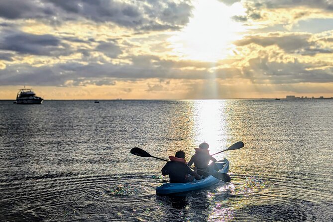 Miami Kayak and Paddleboard Rentals on Biscayne Bay - What You’ll Do on the Water: An Hour on Biscayne Bay