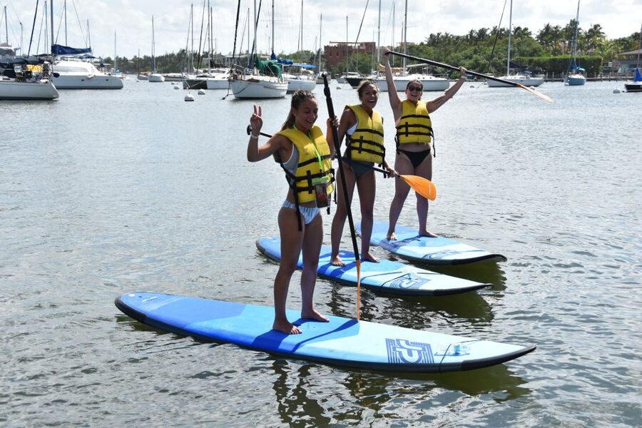 Miami: Kayak or Paddleboard Rental - Equipment and Comfort: Brand-New Gear That Makes a Difference
