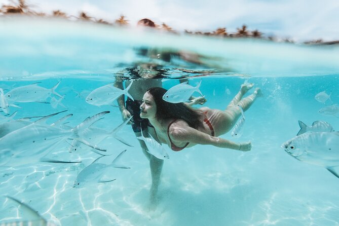 MIAMI: Key West Day Trip with Snorkel or Glassbottom Boat - The itinerary rhythm: passes, bridges, then a full return