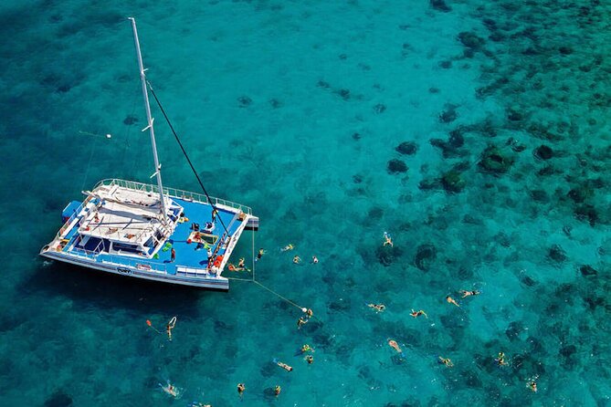 MIAMI: Key West Day Trip with Snorkel or Glassbottom Boat - Choosing your boat time: snorkel vs glass-bottom (and the dolphin angle)