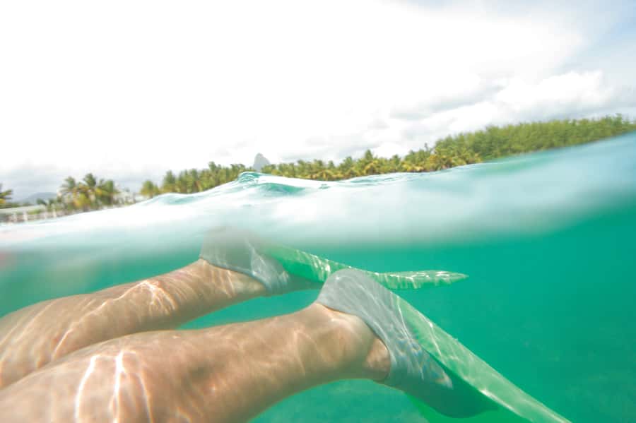 Miami: Key West Dolphin Watch or Snorkel Boat with pickup - Drinks, Extras, and the Small Cost Traps