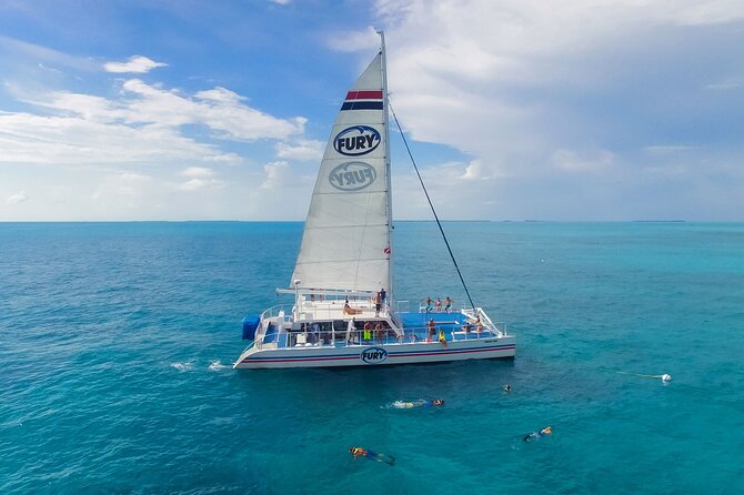 MIAMI: Key West Dolphin Watch Tour - Miami to Key West by coach: plan for the 6:30 a.m. reality