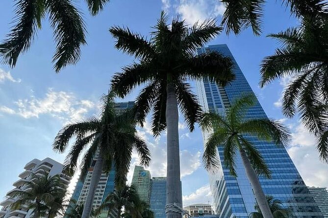 Miami Magic City Romantic Date Tour - Practical tips so your date night goes smoothly