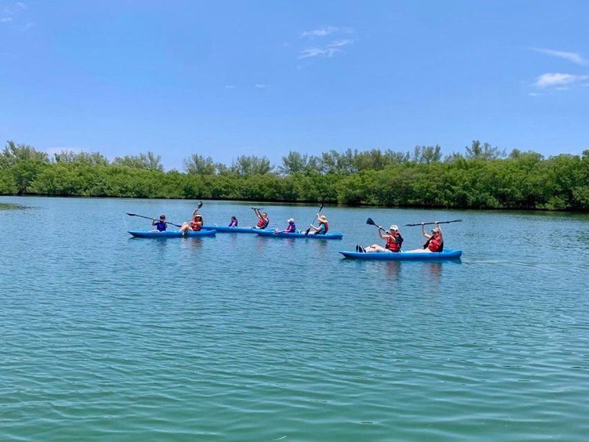 Miami: Manatee Season Paddleboard or Kayak Tour - Quick hits before you go