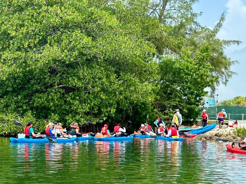 Miami: Manatee Season Paddleboard or Kayak Tour - Why Virginia Key is the smart base for a Miami manatee paddle