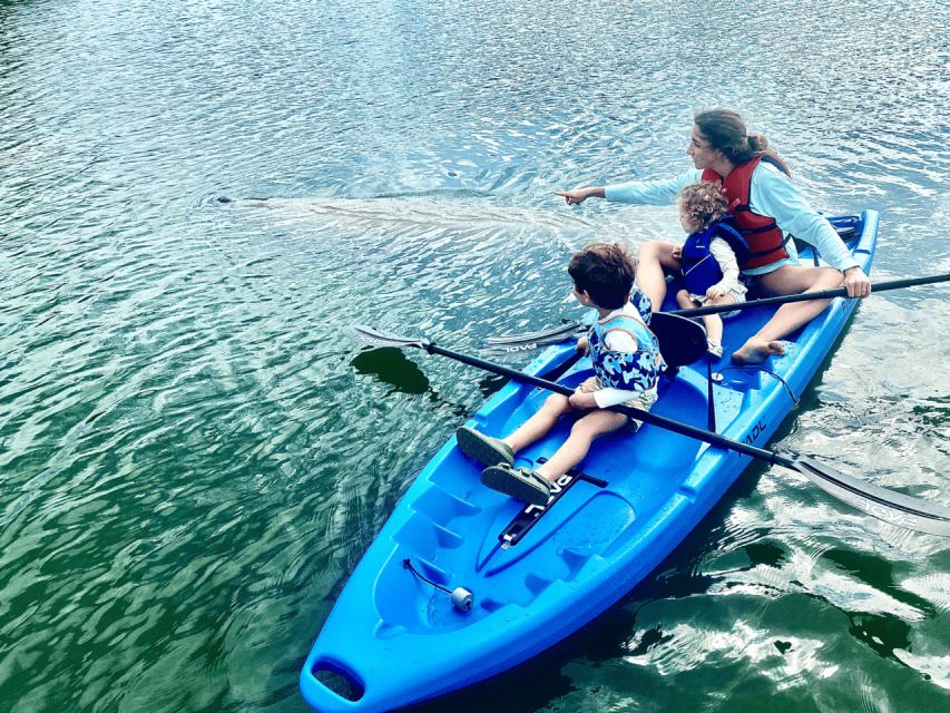 Miami: Manatee Season Paddleboard or Kayak Tour - Paddleboard vs kayak: choose the water feel you want