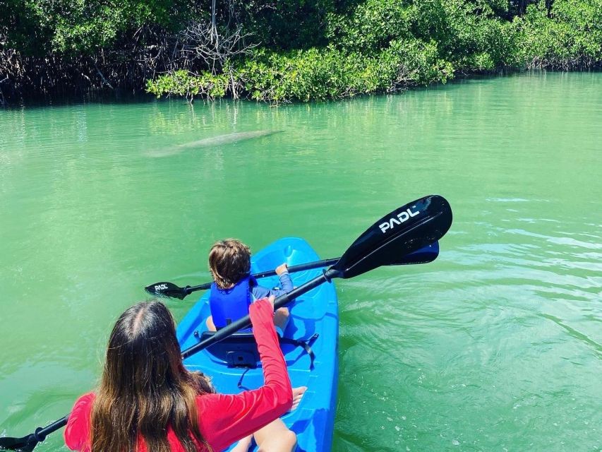 Miami: Manatee Season Paddleboard or Kayak Tour - Guides and the small moments that make it worth it