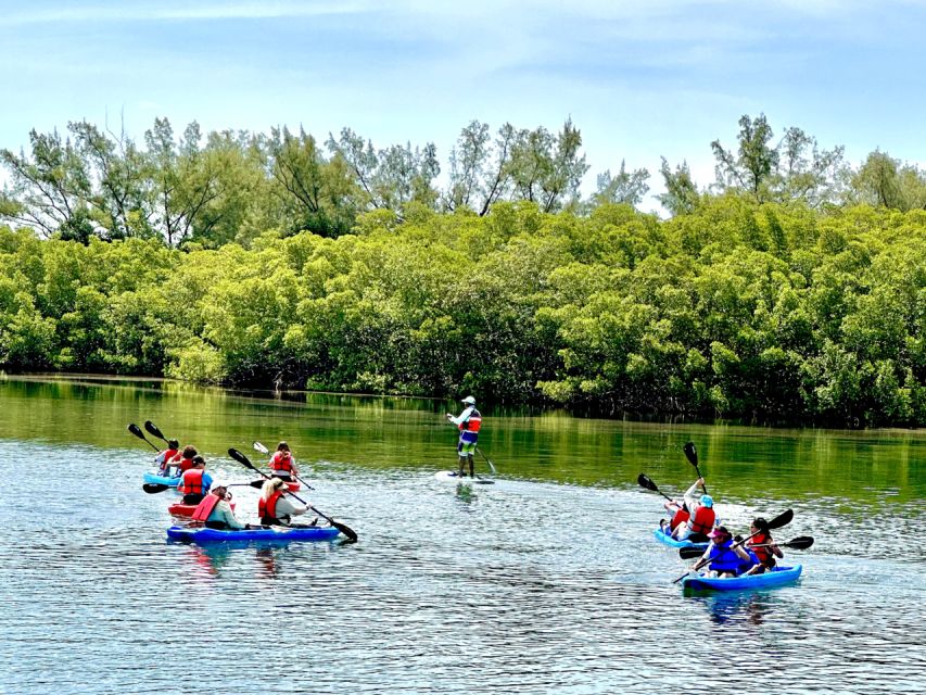 Miami: Manatee Season Paddleboard or Kayak Tour - Gear, safety, and what to pack so you’re not miserable