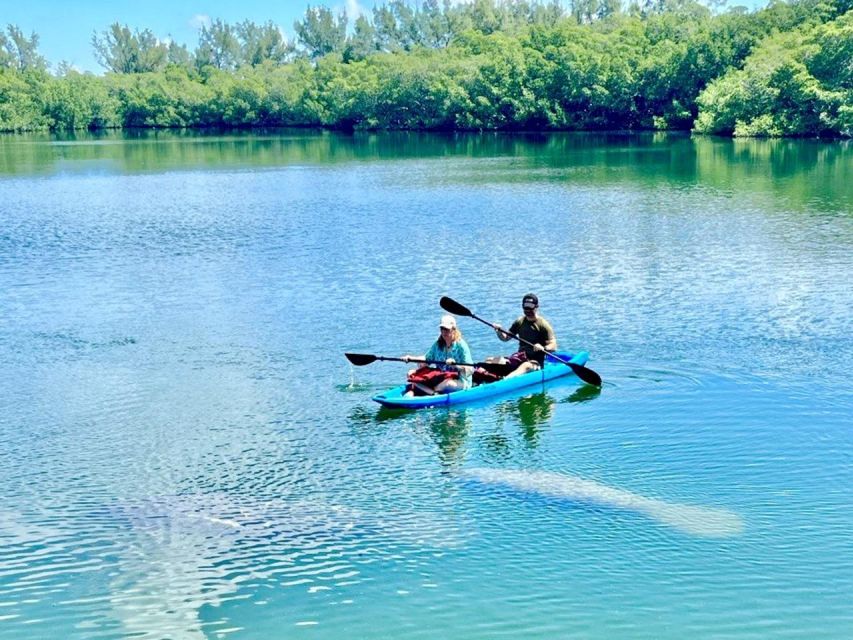 Miami: Manatee Season Paddleboard or Kayak Tour - Price and value: is $85 for 2 hours a fair deal?