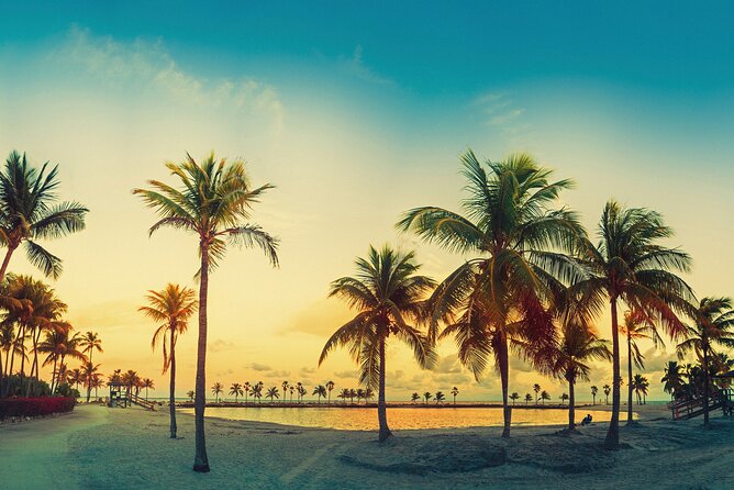 Miami: Open-top Bus Sightseeing Night Tour with Live Guide - Starting at Bayside Marketplace: where the night begins