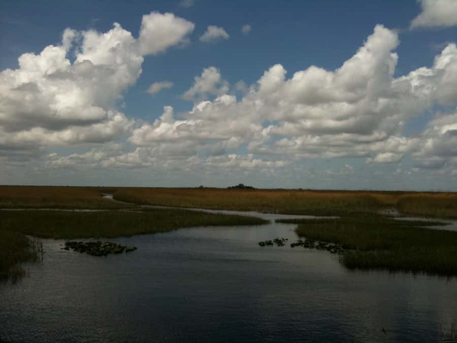 Miami: Original Everglades Airboat Tour & Interpretive area - The exhibit and animal show segment: more than a warm-up