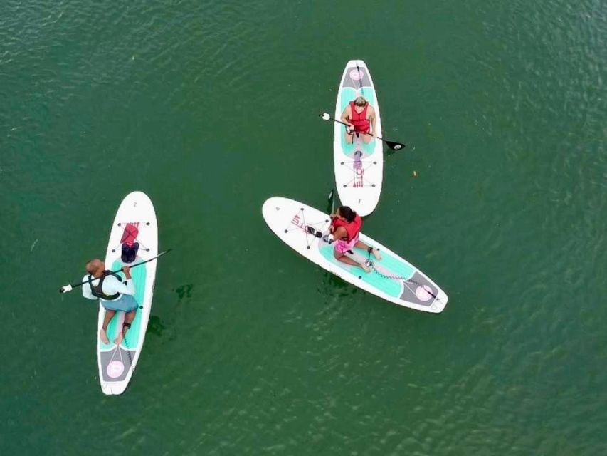Miami: Paddle Board or Kayak Rental in Virginia Key - Meeting point at 3801 Arthur Lamb Jr Rd: how to start smoothly