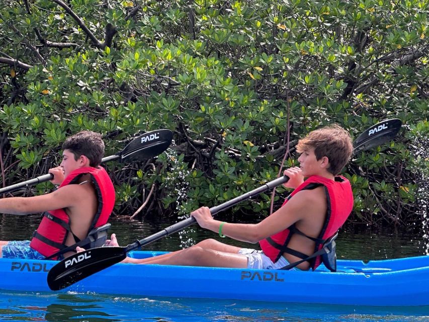 Miami: Paddle Board or Kayak Rental in Virginia Key - Safety briefing and what to bring for an hour afloat