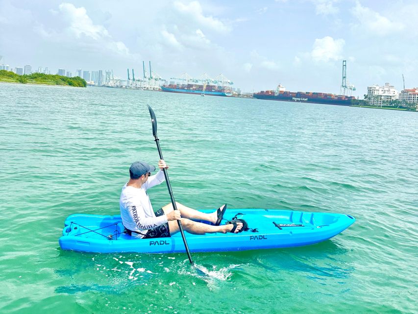 Miami: Paddle Board or Kayak Rental in Virginia Key - Lamar Lake: your wildlife window (and how manatees change the odds)