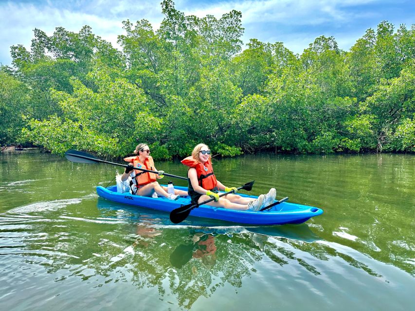 Miami: Paddle Board or Kayak Rental in Virginia Key - Biscayne Bay and Downtown Miami: the skyline moment that feels earned