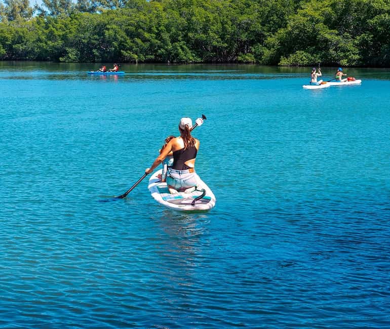 Miami: Paddle Board or Kayak Rental - PADL Beach Club - First stop: PADL Beach Club and picking your paddle option