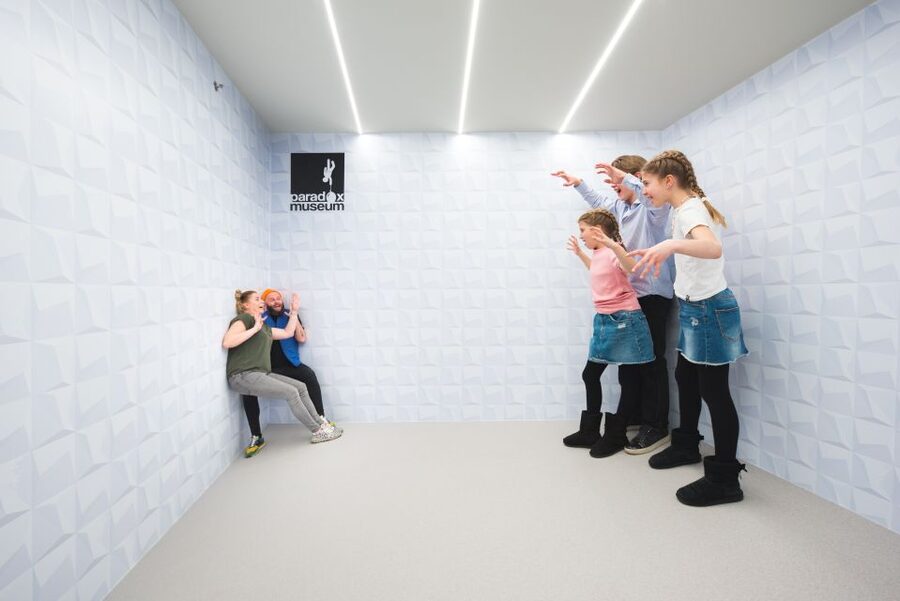 Miami: Paradox Museum Entry Ticket - The Paradox Carousel: when motion changes what you think you see