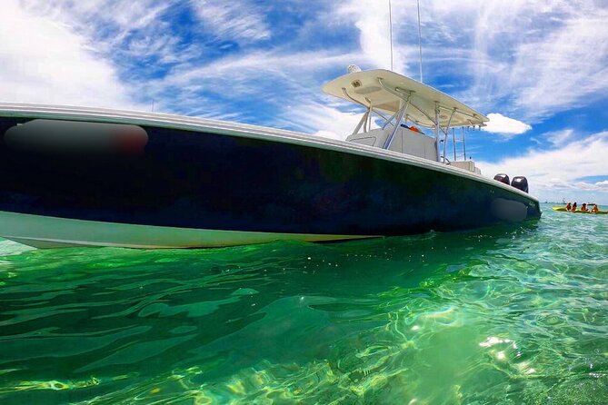 Miami Private Boat Rental to Sandbars and More - Wildlife Sightings Without the Fake Hype