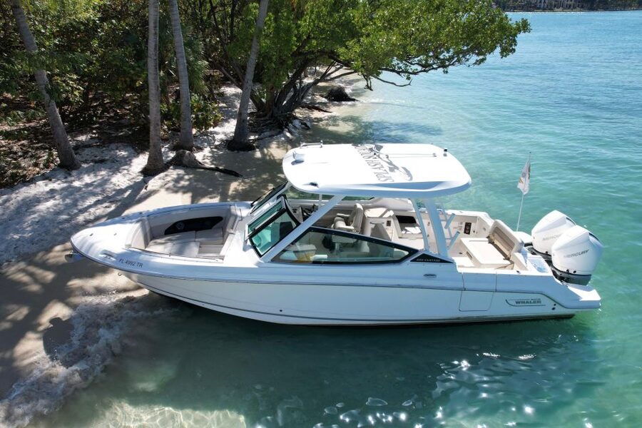 Miami: Private Star island, Miami Skyline & Miami River Tour - FAQ