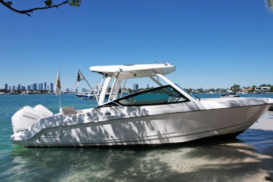 Miami: Private Star island, Miami Skyline & Miami River Tour - Miami Skyline and Turquoise Water From the Boat: The Photo-Friendly Part