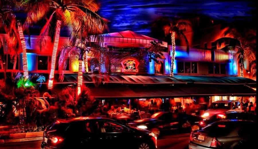 Miami Pub Crawl + Clubbing Experience - Stop by stop: what each venue type gives you (and what to watch for)
