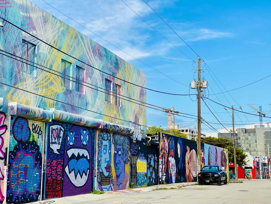 Miami's 3 iconic neighborhoods in 3.5h - in French - Wynwood murals: learning street-art techniques on foot