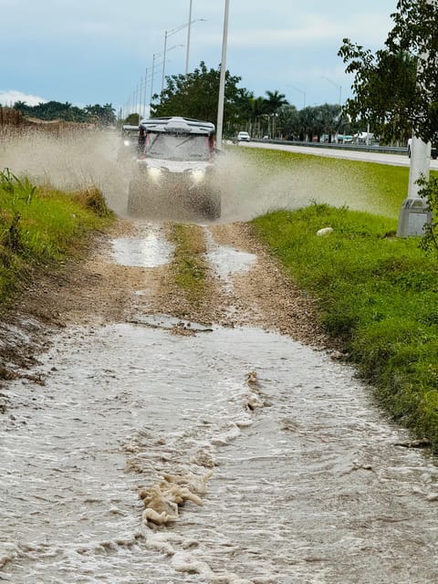 Miami's Ultimate Buggy Adventure on a Honda Talon UTV - Key things to know before you ride