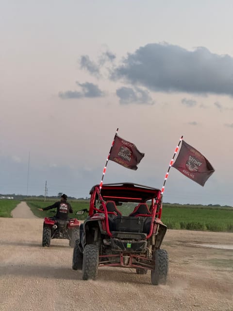Miami's Ultimate Buggy Adventure on a Honda Talon UTV - What the guiding style means for your comfort