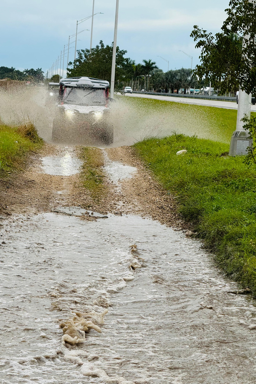 Miami's Ultimate Buggy Adventure on a Honda Talon UTV - Who this is best for (and who should skip)