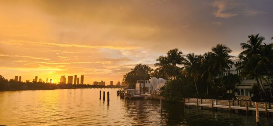 Miami Skyline Sightseeing Cruise and Millionaire Mansions - What Makes the On-Board Experience Worth It