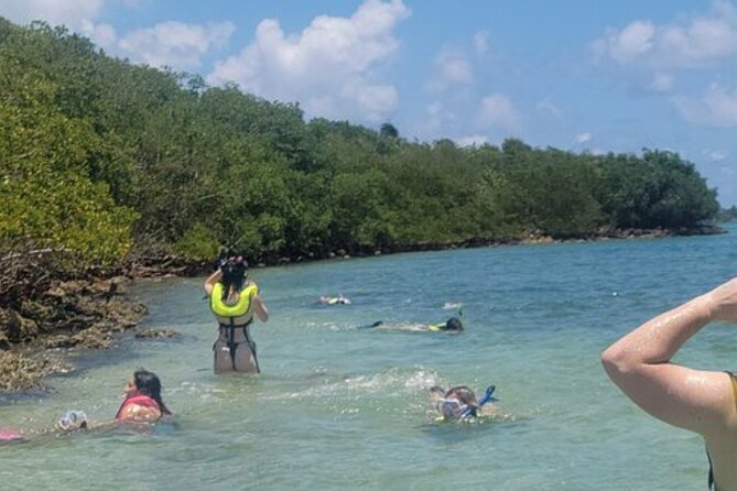 Miami: Snorkeling Adventure in Miami for Beginners Private Yacht - Gear, comfort, and what you should bring