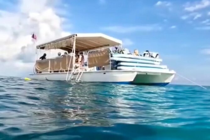 Miami: Snorkeling Experience - What you’re paying for: $199.99 and the private-charter value math