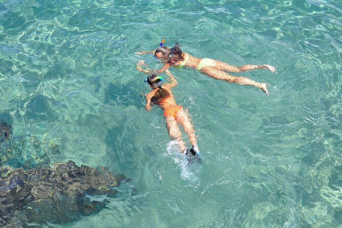 Miami: Snorkeling Experience - Biscayne Bay cruising: skyline, celebrity homes, and Star Island